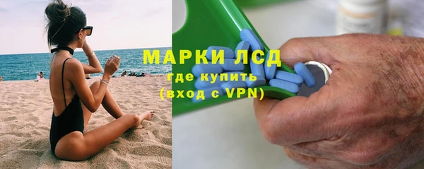 индика Белокуриха